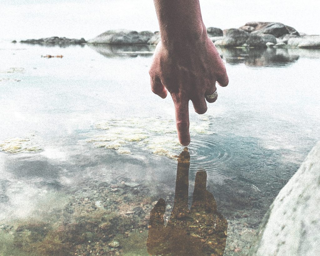 sea finger pic_adjusted